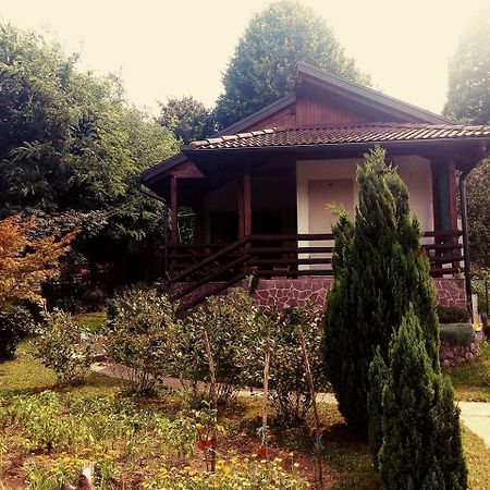 Sunny Paradise Bihać エクステリア 写真
