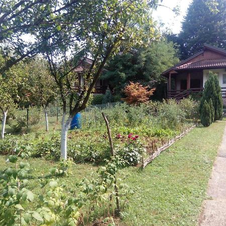 Sunny Paradise Bihać エクステリア 写真