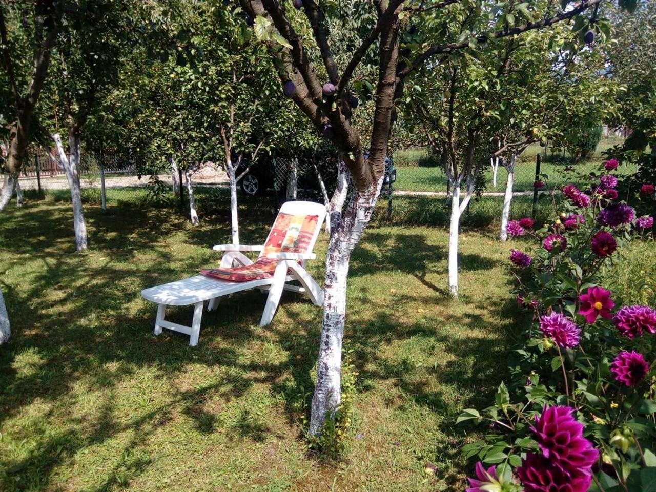 Sunny Paradise Bihać エクステリア 写真